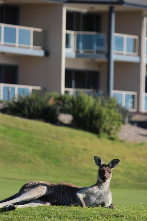 Lady Bay Hotel - Tourism Adelaide 16