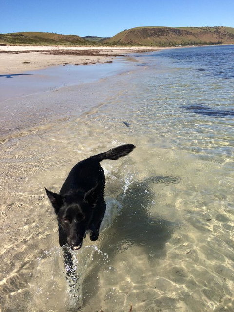 Beachside Holiday Park - Tourism Adelaide 17