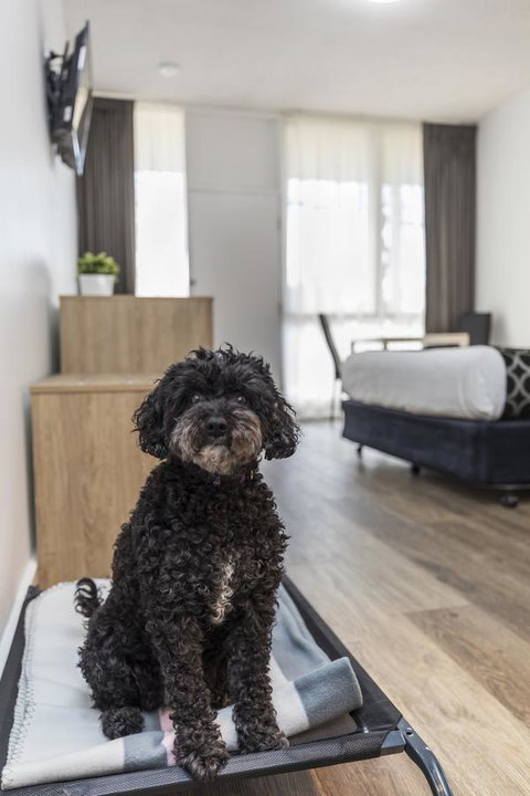 Adelaide Road Motor Lodge - Tourism Adelaide 2