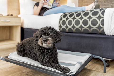 Adelaide Road Motor Lodge - Tourism Adelaide 5