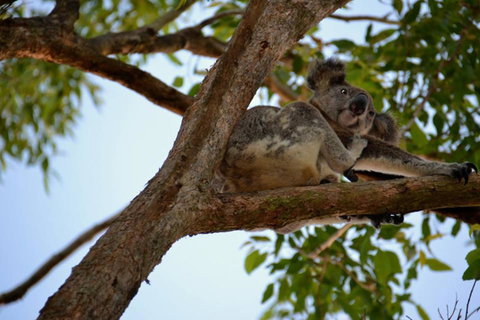 SummerHills Retreat Byron Bay - Tourism Adelaide 36