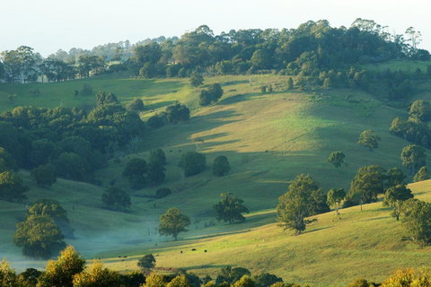 SummerHills Retreat Byron Bay - Tourism Adelaide 20