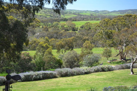 Cabernet Cottage - Tourism Adelaide 10