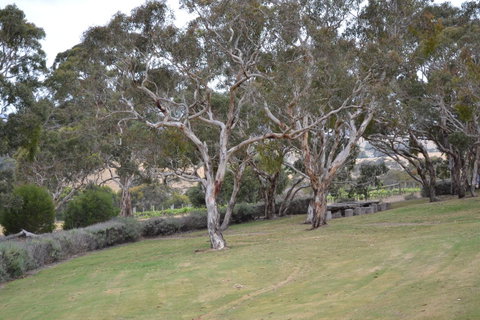 Cabernet Cottage - Tourism Adelaide 8