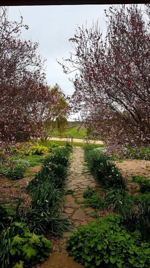 D2 At Watervale - Tourism Adelaide 4