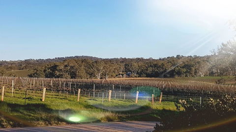 D2 At Watervale - Tourism Adelaide 23