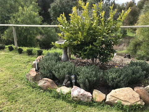 Adagio In Auburn - Tourism Adelaide 18