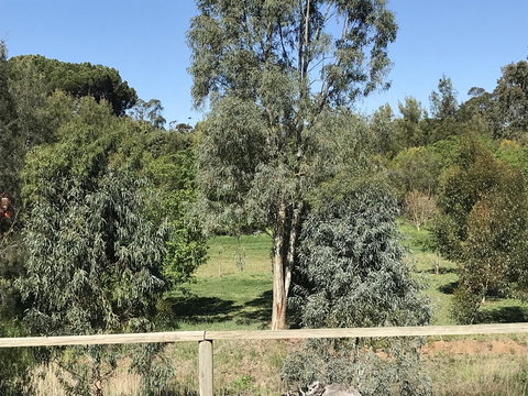 Adagio In Auburn - Tourism Adelaide 25