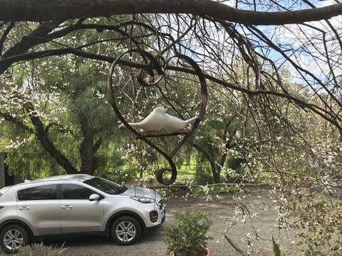 Adagio In Auburn - Tourism Adelaide 3