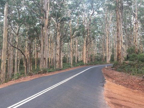 Bella Bali Gardens - Tourism Adelaide 29