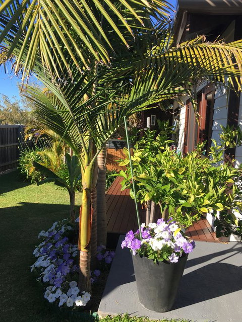 Bella Bali Gardens - Tourism Adelaide 23