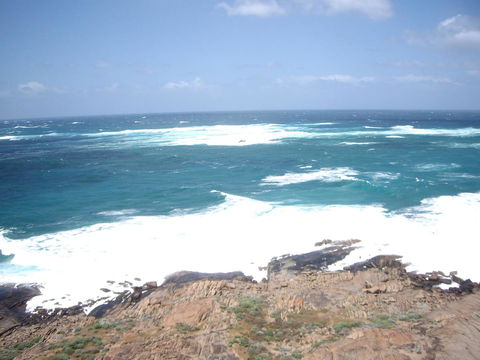 Bella Bali Gardens - Tourism Adelaide 30