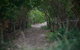 Ingenia Holidays Byron Bay - thumb 15