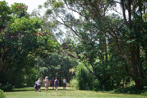 Ingenia Holidays Byron Bay - Tourism Adelaide 11