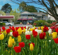 Nesuto Leura Gardens formerly Waldorf Leura Gardens Resort - Tourism Adelaide