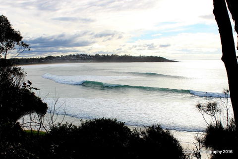 Mollymook Cove Apartments - Tourism Adelaide 2