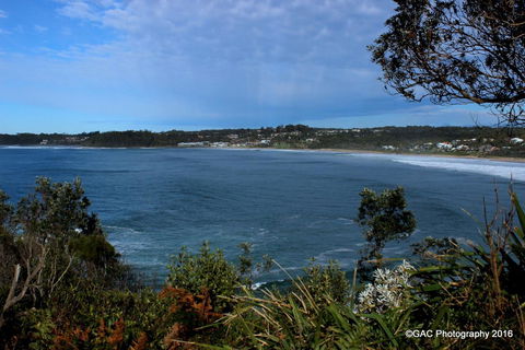 Mollymook Cove Apartments - Tourism Adelaide 1