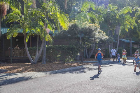 The Palms At Avoca - Tourism Adelaide 14