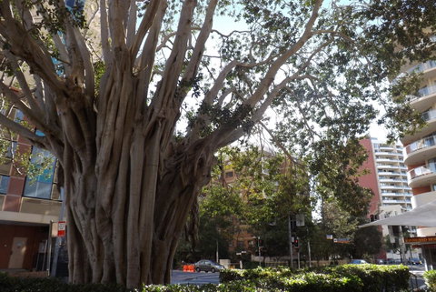 Fiori Apartments - Tourism Adelaide 29
