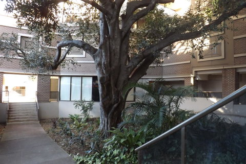 Fiori Apartments - Tourism Adelaide 32