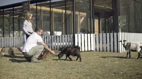 The Woods Farm Jervis Bay - Tourism Adelaide 14