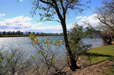 Terara Riverside Retreat - Tourism Adelaide 27