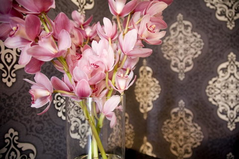 Hotel Challis Potts Point - Tourism Adelaide 14