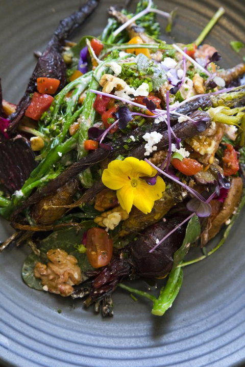 Sage Hotel Wollongong - Tourism Adelaide 21