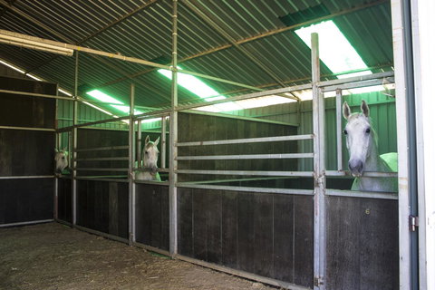 Allonville Gardens Motel - Tourism Adelaide 33