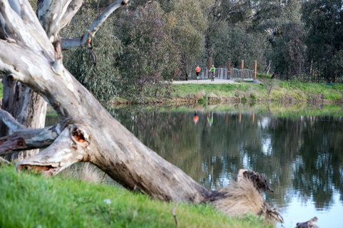 Mercure Albury - Tourism Adelaide 15
