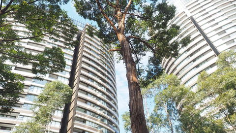 SkyGarden Sydney Olympic Park 3 & 4 Bedroom City View - Tourism Adelaide 33