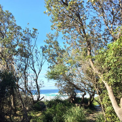 Salthouse Berrara - Tourism Adelaide 22