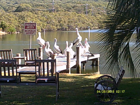 Pelican H2O One & Two Bedroom Apartments - Tourism Adelaide 9