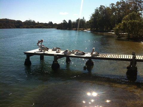 Pelican H2O One & Two Bedroom Apartments - Tourism Adelaide 5