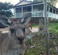Bush  Bay Cottage - Tourism Adelaide