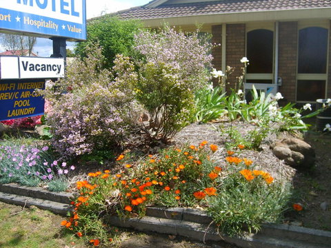 Albury City Motel - Tourism Adelaide 29
