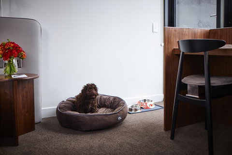 Hotel Indigo Sydney Potts Point, An IHG Hotel - Tourism Adelaide 29