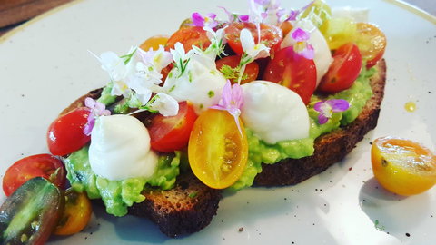 Hotel Indigo Sydney Potts Point, An IHG Hotel - Tourism Adelaide 12