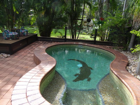 DARWIN'S SHADY ACRES RETREAT - Tourism Adelaide 13