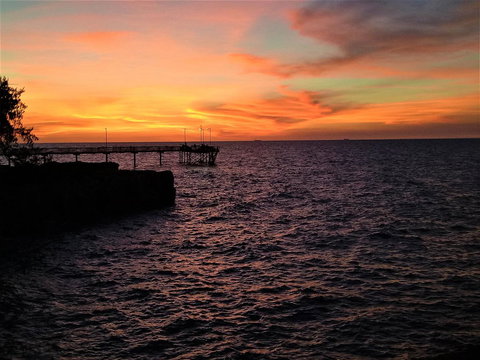 Arafura Blue - Tourism Adelaide 29