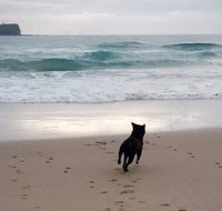 Breakers at Mudjimba Beach - Tourism Adelaide