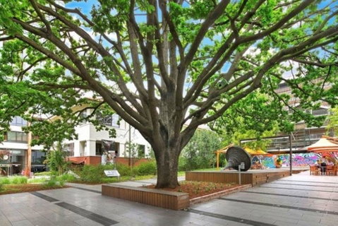 Canberra Luxury Apartment 8 - Tourism Adelaide 1