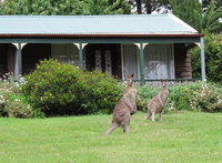 Book Mount Victoria Accommodation Vacations Tourism Adelaide Tourism Adelaide
