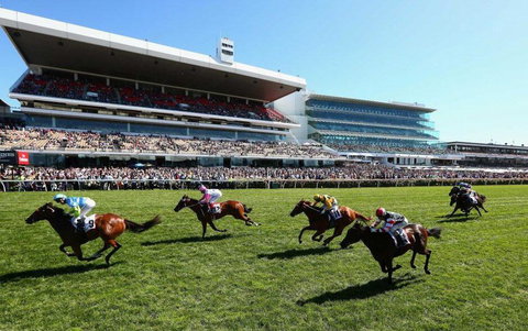 Comfy 2BR Suite Near Flemington Races, FREE Parking - Tourism Adelaide 2