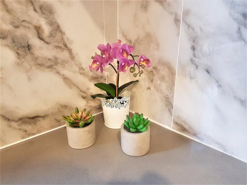 Cozy Duplex Home 3 Bdrms 1 Bath Sleeps 6 - Tourism Adelaide 2