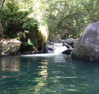 Daintree Secrets Rainforest Sanctuary - Tourism Adelaide
