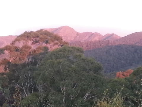 Day Dream Cottage - Tourism Adelaide 2