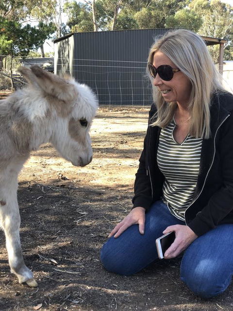 Donkey Tales Farm Cottages - Tourism Adelaide 1