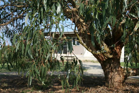 Driftwood Villas - Tourism Adelaide 3