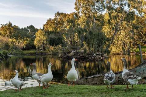 Empire Spa Retreat - Tourism Adelaide 2